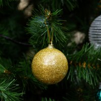 ����� ���������� ����� 6��, 6��.