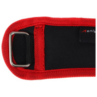    Onlytop, 2 .  100 ,  