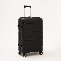   100  (l),   ,  , 4 ,  