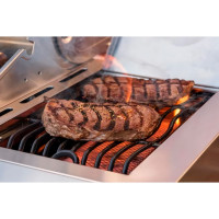   Nexgrill Grizzly 5b, 720-0896ga