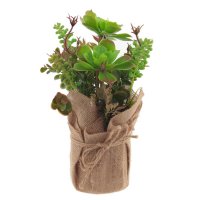 ��������� ����������, L21 W20 H28 ��, 3�.