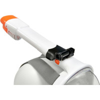     Bradex,   ,  S