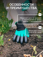  ,  ,   ,  ,  10, , Greengo