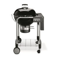   Weber Performer Original Gbs, 57 , 