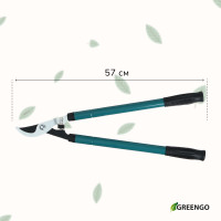  , 22.533 (5784 ), ,   , Greengo