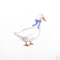 ����� ���������� Dubi ���� 21,5 ��