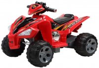   Neotrike Quadro Beach
