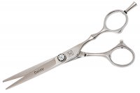    Katachi Daisy 6.0