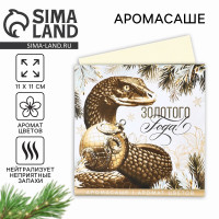 ��������� � �������� ��������� ����, ������ ������, 11 � 11 ��