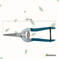 ������� �������, 7 (18 ��), � �������������� �������, ������������ �����, ������ Greengo