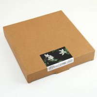   2    22.5   2  Dolce Ceramo. Lemon Flowers, ,  