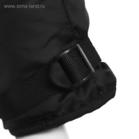 �������� ����������, ��������, ���� ����