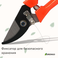  , 7 (18 ),   , Greengo
