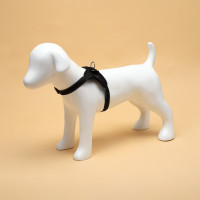  7  ,  S,  44-55 ,  5-9 , 