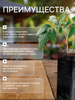 ����� ��� �������, 1.6 �, 8 30 ��, ���������� �������� 50 ���, � �����������, ������, Greengo