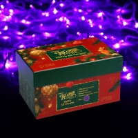   10 , Ip44,  , 100 Led,  , 8 , 220 