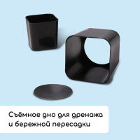   :   300  (12 .),  45 18 , , Greengo