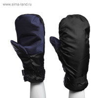 �������� ����������, ��������, ���� ����