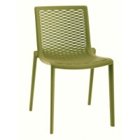   Bellarden Netkat,  