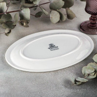    Wilmax Teona, 25,5x17 ,  