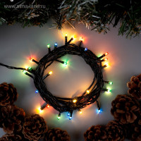   3 , Ip20,  , 30 , 8 , 220 ,  