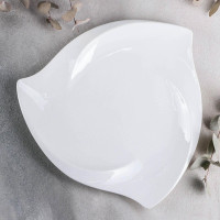    Wilmax Ariela, D=30 ,  