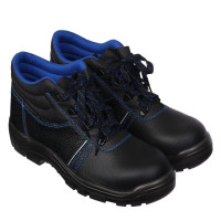    Prosafe Basic 12,  ,  43