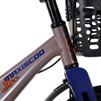  16 Maxiscoo Jazz Pro,   