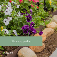  , 15    10 ,  1.2 , , , Greengo