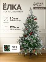 ������������� ���� ������� ����������. ���������, 120 ��, 322 ��� �����