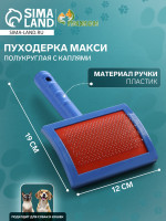 ��������� ����������� ����� � �������, 12 20 ��, ���� ������