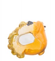 Af-1005/1 ������� �������� ��� 13 ��