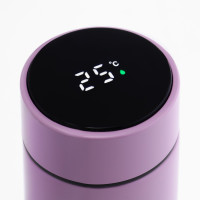 , 500 , Basic " ",  ,   ,   8 