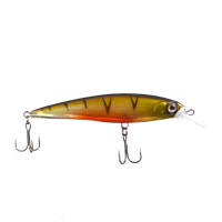  Namazu Zoolander, 9.5 , 13.3 , ,  (0.5-1 ),  17