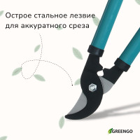 , 14,6 (37 ),     , Greengo