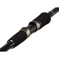   Feeder Concept Distance 100,  10-100 .,  4,2 .