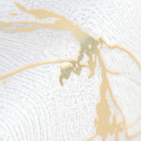       Insignic,  20 ,  137 