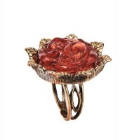 Am-2489 ������ ������� (������, ������)