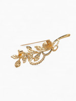 ����� ������� � ����������, ���� ����� � ������