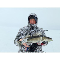 ������ ������� ������������ Lj Pro Series Basara Vib S, 8 ��, ���� 319