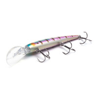  Namazu Billy, L-120 , 18 , , , 6.0-8.0 ,  6