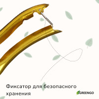  , 8 (20 ),   ,   , Greengo
