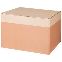   Lefard 13 .  6 . 220  