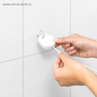    Brabantia,  