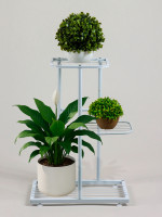    Greengo, 3 , 43 22 57 , , , 