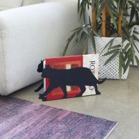  Feline 