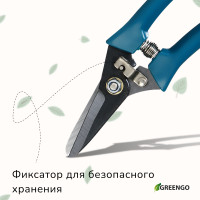  , 7 (18 ),   ,  , Greengo
