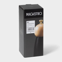    Magistro Ollander, 17 ,  