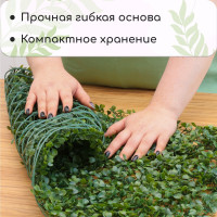  , 60 40 , , Greengo