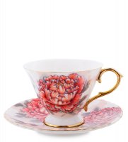 As-62  -  2 .    (pavone)